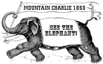 [ Elephant. ]